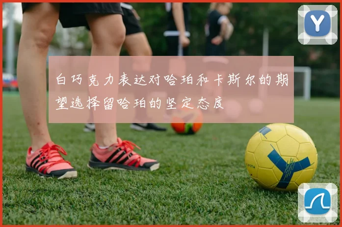 白巧克力表达对哈珀和卡斯尔的期望选择留哈珀的坚定态度