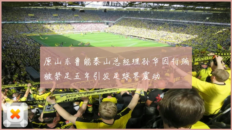 原山东鲁能泰山总经理孙华因行贿被禁足五年引发足球界震动